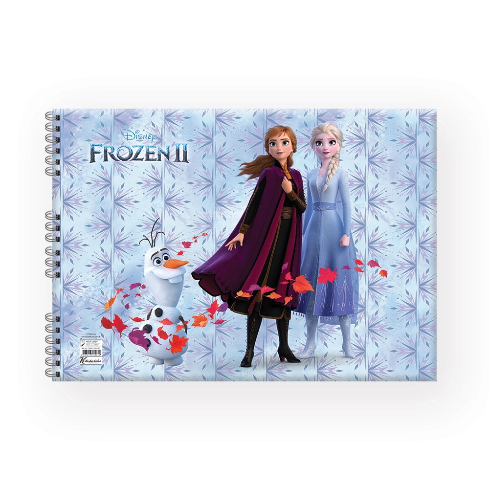 FROZEN RESİM DEFTERİ 25x35 15 YAPRAK